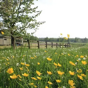 Agroturismo Agriturismo Cargandino, Mezzomerico